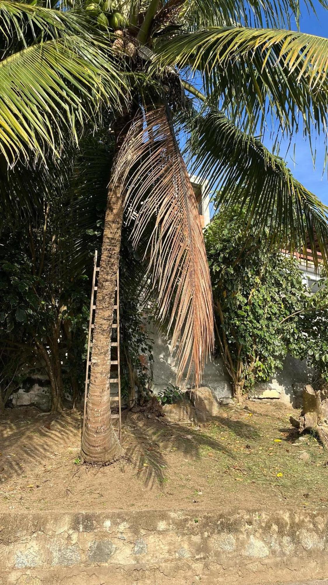 Escape Para O Paraiso, Casa Mobiliada Com Piscina E Salao De Jogos, 300Mt Da Praia Arraial do Cabo Zimmer foto